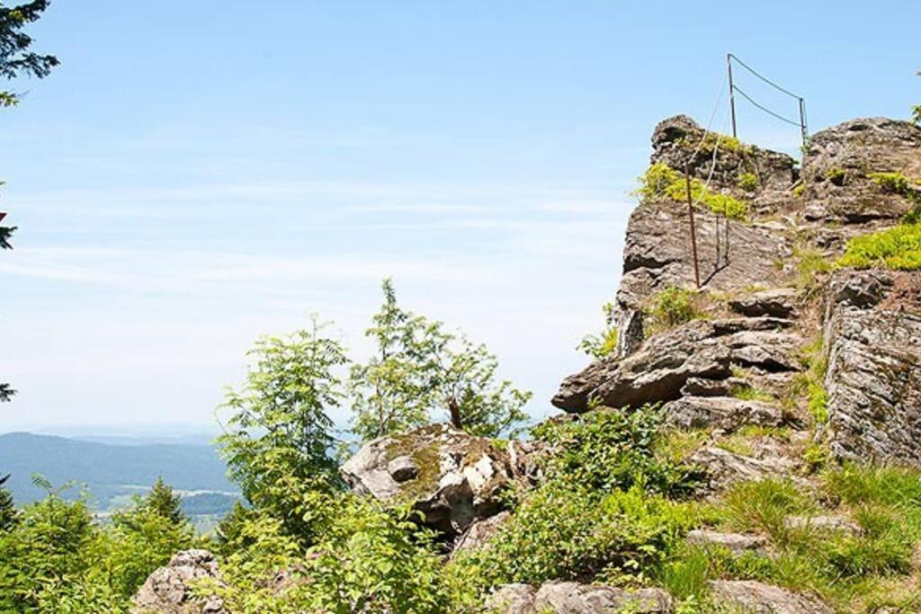 Bayerwald Chalet Kaitersberg Mit Sauna, Sonnenterrasse Und Garten Arnbruck Esterno foto
